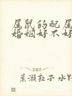 属鼠的配属龙的婚姻好不好