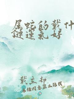 属蛇的戴什么手链运气好