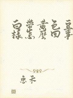 白带黄色豆腐渣样怎么回事