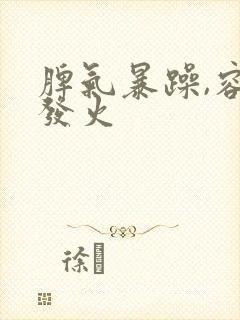 脾气暴躁,容易发火