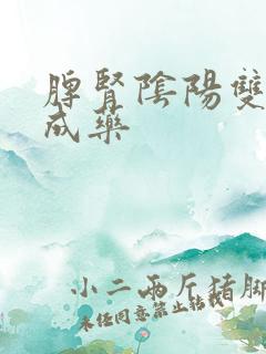 脾肾阴阳双补中成药