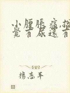 小腹胀痛,总感觉有尿还有血