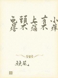 龟头上有小红疙瘩不痛不痒怎么回事