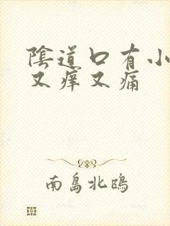 阴道口有小疙瘩又痒又痛