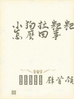 小狗拉粑粑带血怎么回事