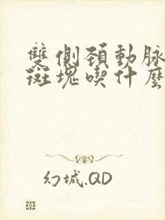 双侧颈动脉多发斑块吃什么药