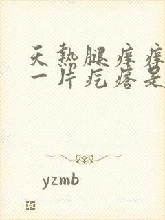 天热腿痒痒一挠一片疙瘩是怎么回事