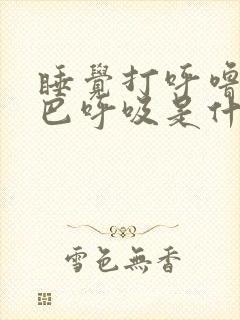 睡觉打呼噜用嘴巴呼吸是什么原因