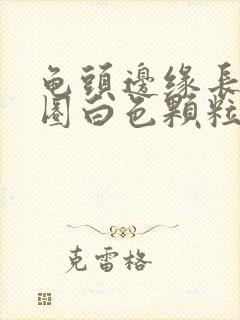 龟头边缘长了一圈白色颗粒还很痒