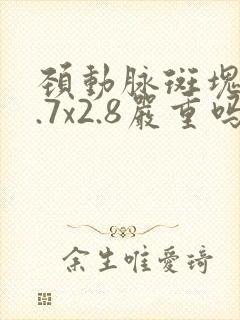 颈动脉斑块17.7x2.8严重吗