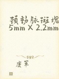颈动脉斑块5.5mm×2.2mm怎么办
