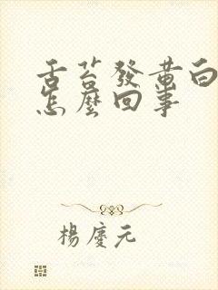 舌苔发黄白厚是怎么回事