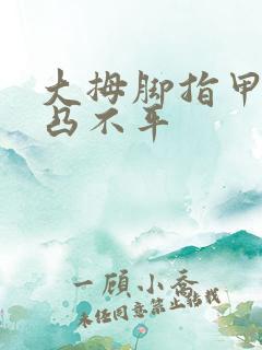 大拇脚指甲盖凹凸不平