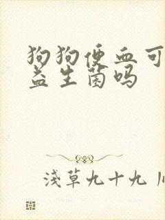 狗狗便血可以吃益生菌吗