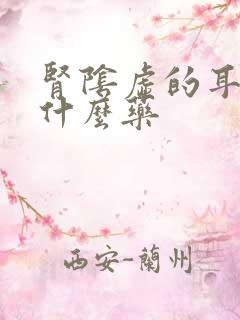 肾阴虚的耳鸣吃什么药