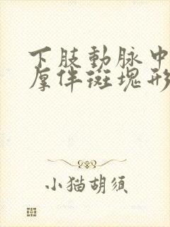 下肢动脉中膜增厚伴斑块形成