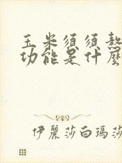 玉米须须熬水喝功能是什么啊