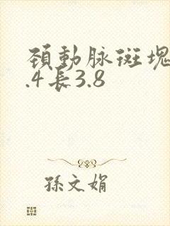 颈动脉斑块厚1.4长3.8