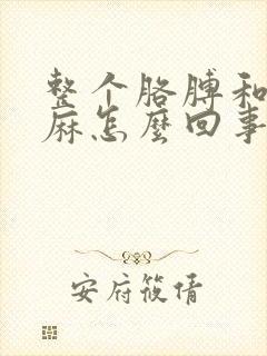 整个胳膊和手发麻怎么回事