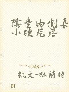 阴囊内侧长了个小硬疙瘩