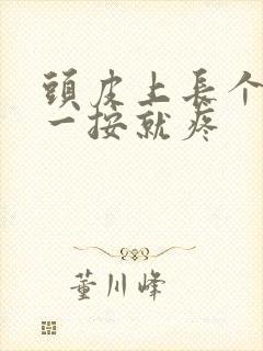 头皮上长个疙瘩一按就疼