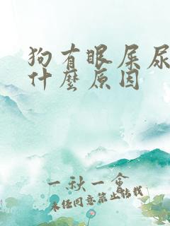 狗有眼屎尿黄是什么原因