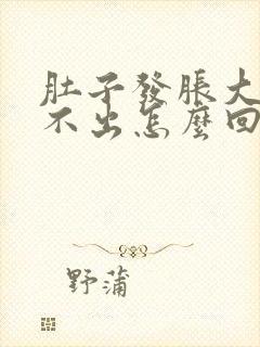 肚子发胀大便拉不出怎么回事