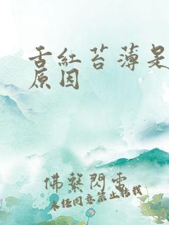 舌红苔薄是什么原因