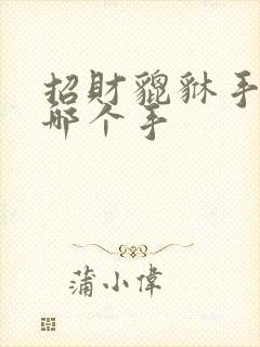 招财貔貅手链戴哪个手