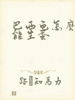 巴西龟怎么养才能生蛋