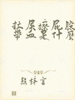 拉屎擦屁股纸上带血是什么原因