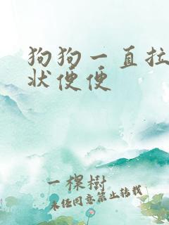 狗狗一直拉果冻状便便