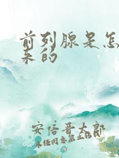 前列腺是怎么得来的