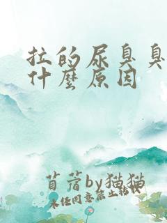 拉的尿臭臭的是什么原因