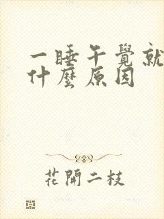 一睡午觉就尿多什么原因