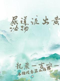 尿道流出黄色分泌物