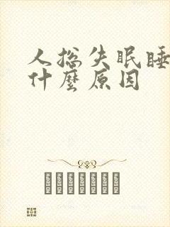 人总失眠睡不着什么原因