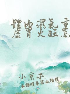 体内湿气重,脾虚胃火旺怎么办