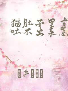 猫肚子里有毛球吐不出来怎么办