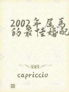 2002年属马的最佳婚配男孩子