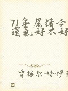 71年属猪今年运气好不好