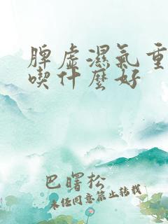 脾虚湿气重便秘吃什么好