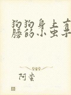 狗狗身上有带翅膀的小虫子