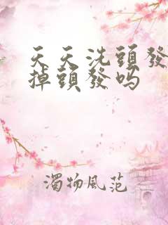 天天洗头发容易掉头发吗