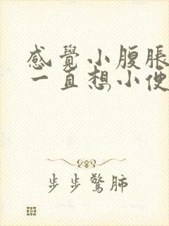 感觉小腹胀胀的一直想小便