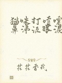 猫咪打喷嚏流清鼻涕流眼泪