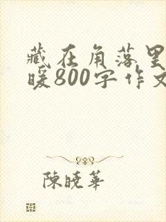 藏在角落里的温暖800字作文