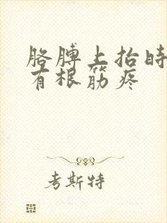 胳膊上抬时上臂有根筋疼