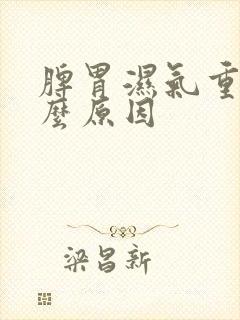 脾胃湿气重是什么原因