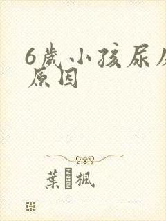 6岁小孩尿床的原因